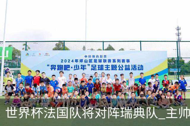 世界杯法国队将对阵瑞典队 主帅否认姆巴佩不防守
